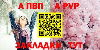 шишки Тара