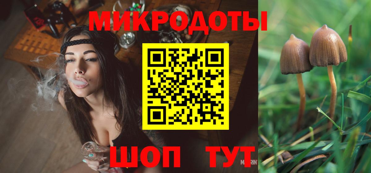 Мурино  Галлюциногенные грибы Psilocybe  Псилоцибиновые грибы мицелий  Вход с VPN 